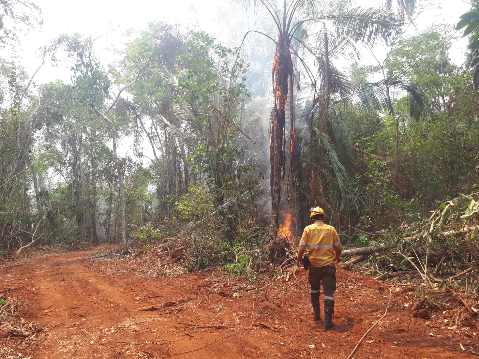 Bomberos de la Gobernación usan retardantes para combatir los incendios