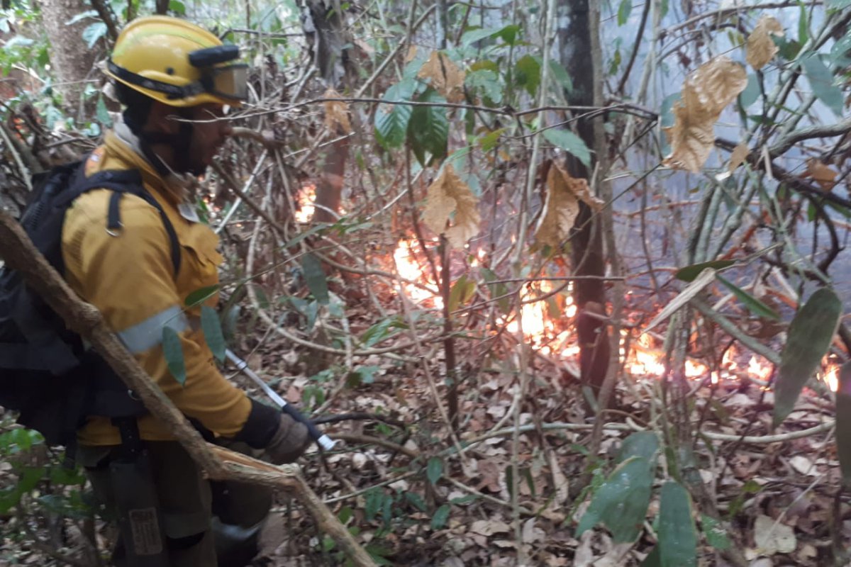 Bomberos de la Gobernación usan retardantes para combatir los incendios
